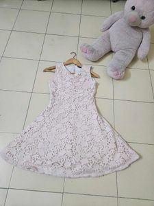 Stunning Pink Skater Dress