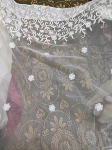light green net chikan saree