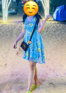 Sera Blue And Pink Floral Fit &amp; Flare Dress