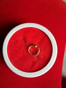 beautiful new nosering gold