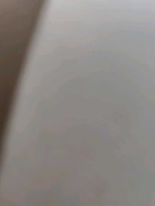 White or Greyish Background
