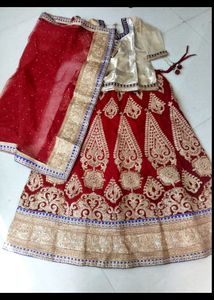 Elegant Lehenga Choli Set