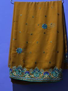 Elegant Embellished Saree