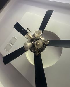 Used Decorative Ceiling Fan