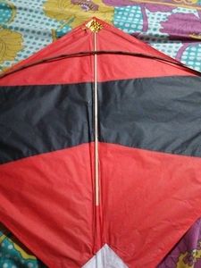 50 KITE BEST QUALITY