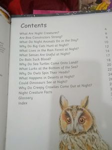 Scary Creatures Of The Night