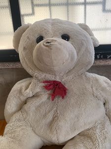 Big Size Taddy Bear