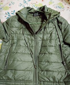 Sassafras Bomber Jacket For Women