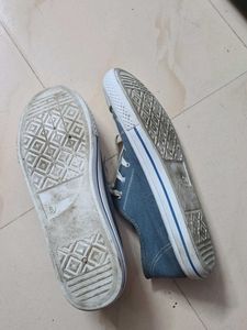 Casual Blue Canvas Shoes
