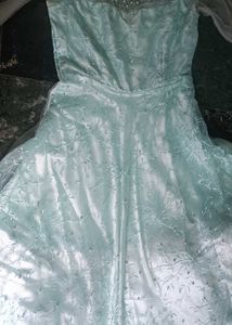 Elegant Ethnic Gown