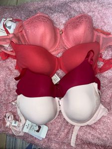 ✅ Zivame Tshirt Bra Set Of 4 | Best colors | WTag