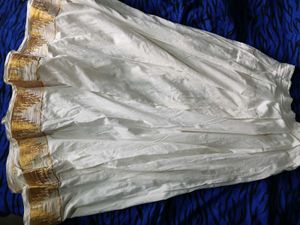 offer price*🌟Ethnic Skirt with Gold Border