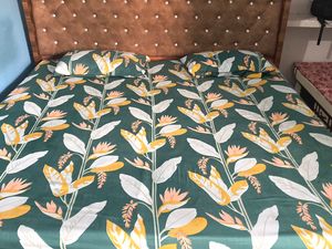 Bedsheet With 2 Pillow Cover