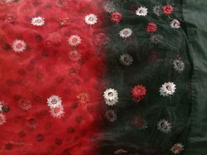 Beautiful Multicolour Net Saree