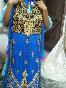 This Beautiful Net Gown