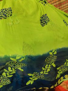 Saari With Blouse