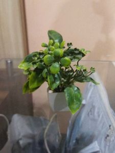 Set Of 10 Mini Artificial Plants.