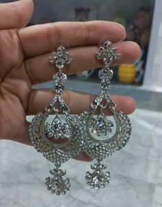 Sparkling Silver Earrings