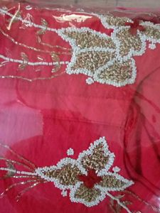 Beautiful Red Kurta And Organza Duppata