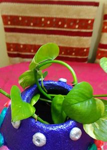 Hand Made Cement Planter Vase