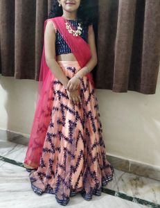 Netted Lehenga With Blouse