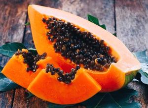 Fruits Seeds @ Low Price