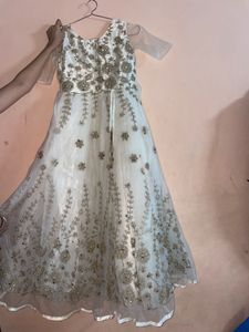 Elegant Embellished Ethnic Gown