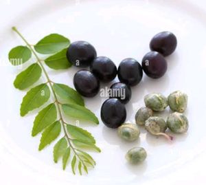 Curry Leaves Seeds...