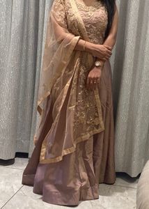 Elegant Indian Anarkali Dress