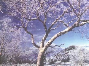 Beautiful Scenery Frame