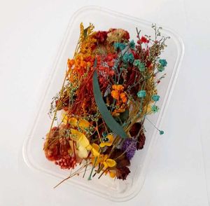 Original Dried Flowers For Candle Or Resin Art
