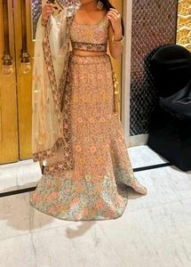 Elegant Peach Lehenga Choli Set