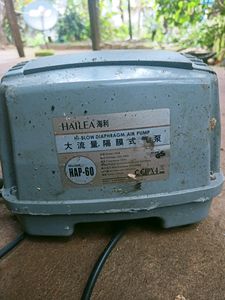 Hailea Hap -60 Air Pump