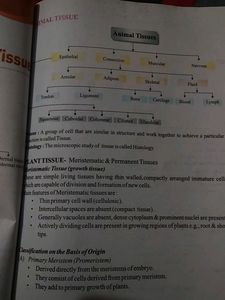 Support MATERIAL CLASS 9TH SCIENCE