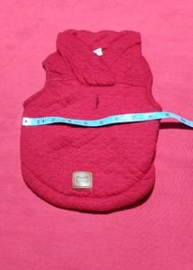 Combo 4 Piece Small Dog Winter Clothes