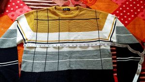 Branded Men Sweater