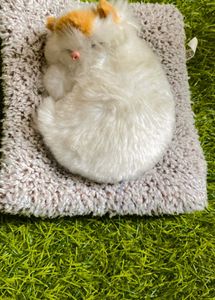Cat Soft Toy