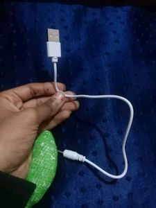 new Dancing Cactus Toy