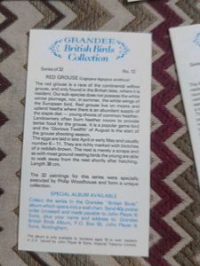 Vintage Grandee Bird  Cigarette Cards Collection