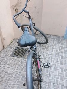 Cycle