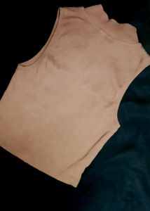 Slivless Crop Top In Nude Colour