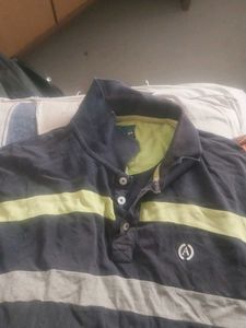 Striped Polo Shirt