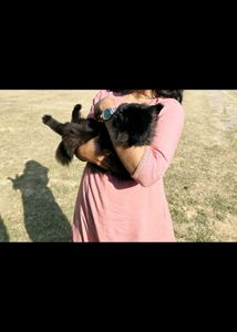 Peach Embroidered Top