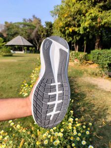 Asics Running Shoes