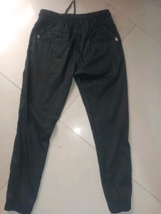 Jogger Cotton