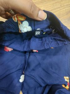 Pant Style Bottom Wear