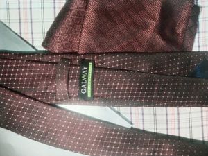 🆕Multicolour Tie(pack-1