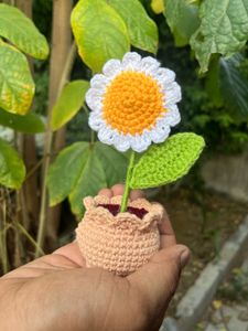 Crochet Daisy in Pot