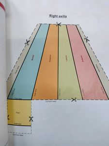 BD Chaurasia Anatomy Volume 1 And 2  Textbook