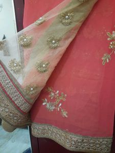 CORAL N GOLDEN NET SAREE